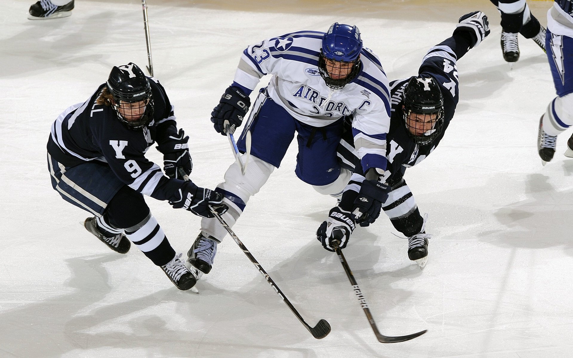 凯琳·科贝特用实力回应所有质疑，凯特琳菲贝尔个人资料