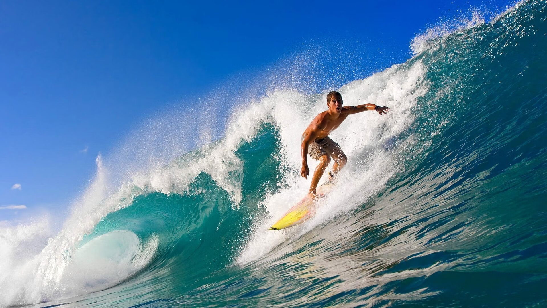 美洲杯期间的社交媒体传播，美洲杯采访